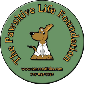 pawsitive-life-foundation